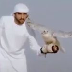 El halcón, símbolo de Emiratos