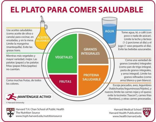 plato saludable vivir dubai