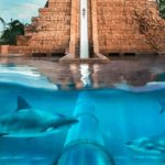 Guía definitiva: 10 parques acuáticos para visitar en EAU