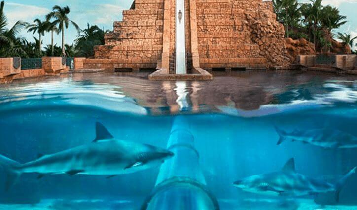 Atlantis Aquaventure