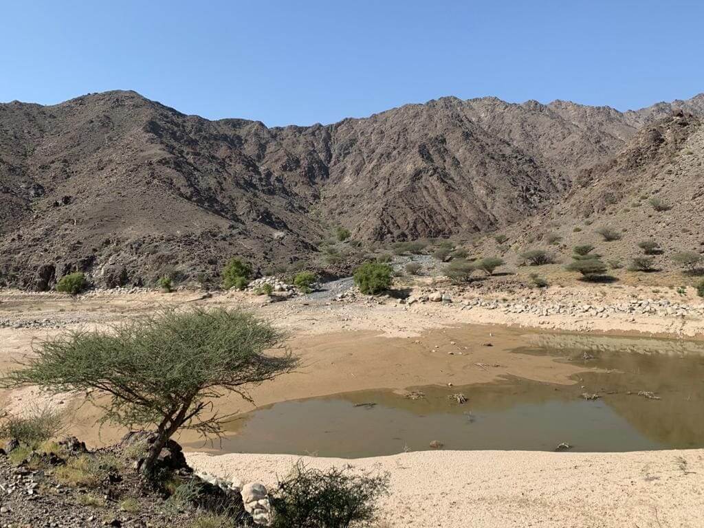 Wadi Hayl vivir en dubai