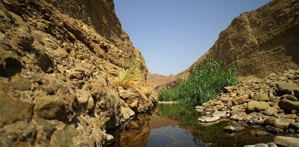 Wadi Wurayah vivir en dubai