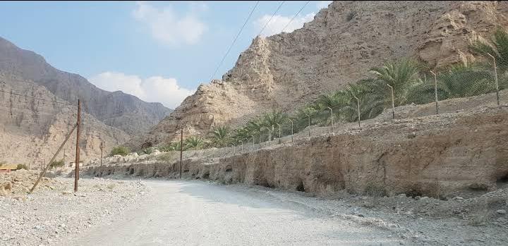 Wadi Beih vivir en dubai