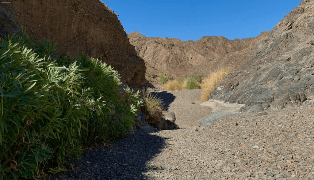 Shawka ruta excursión sombras wadi vivir dubai (5)