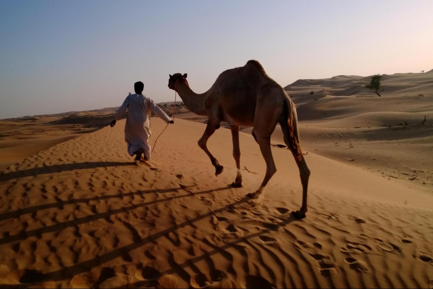 desert safari rak emiratos vivirendubai