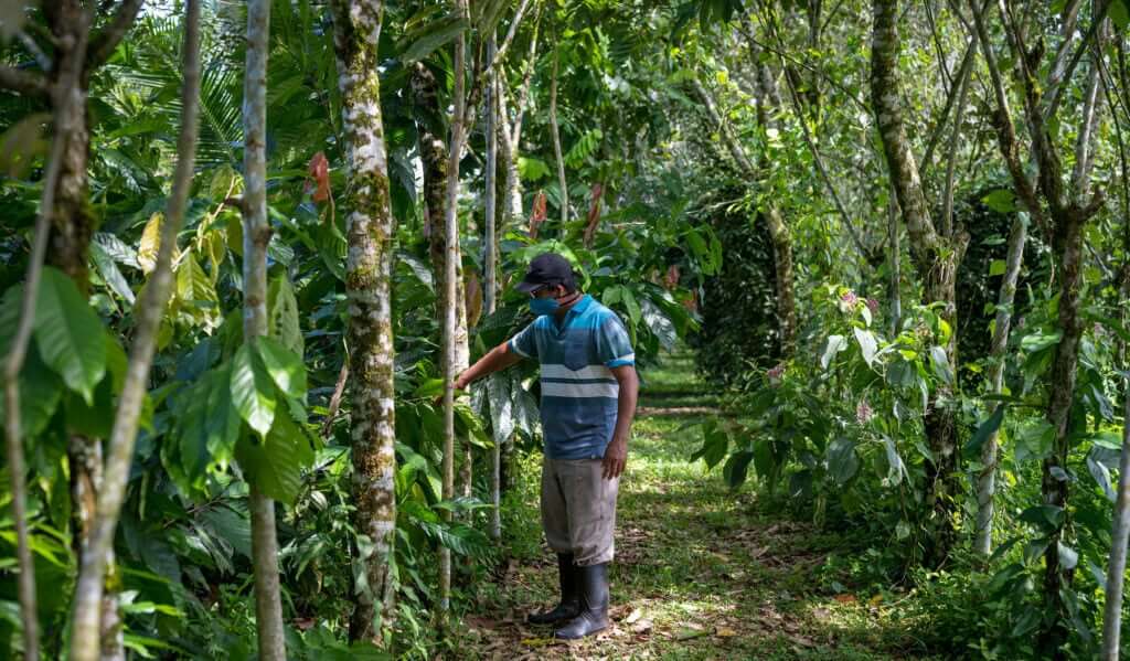 naturaleza premio costa rica EAU