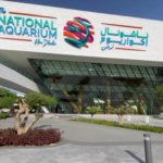 El acuario más grande de Oriente Medio abre en Abu Dhabi