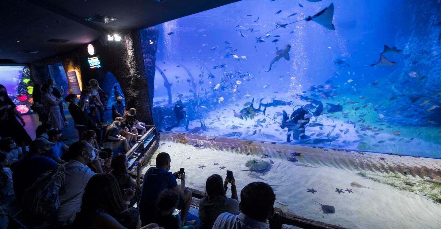 pase anual acuario abu dhabi