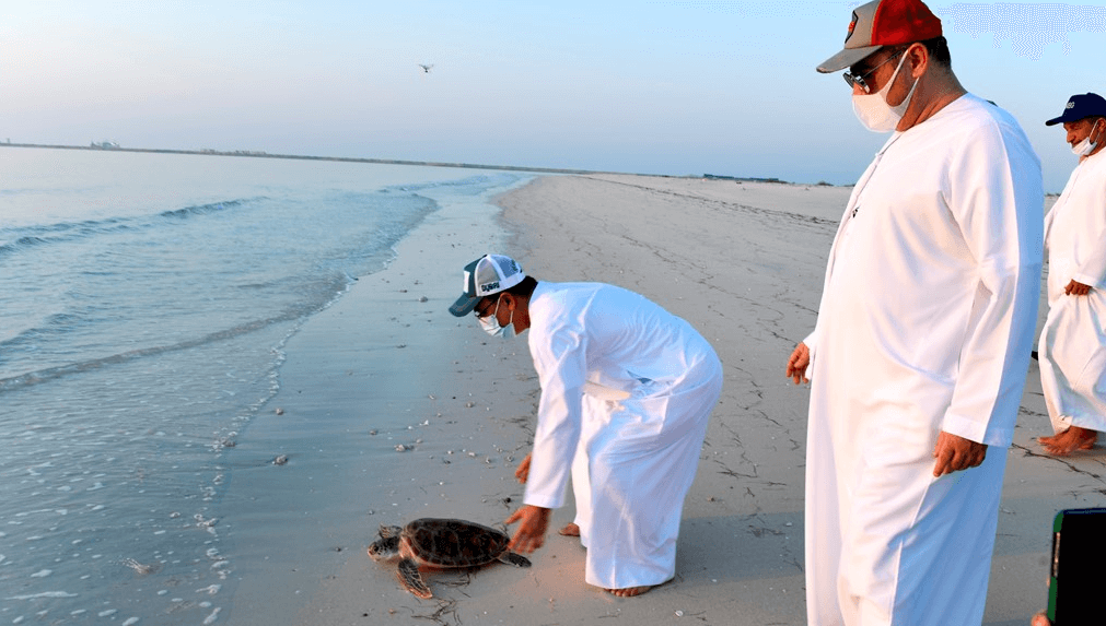 jeque Ali Saqr Al Suweidi tortugas emiratos