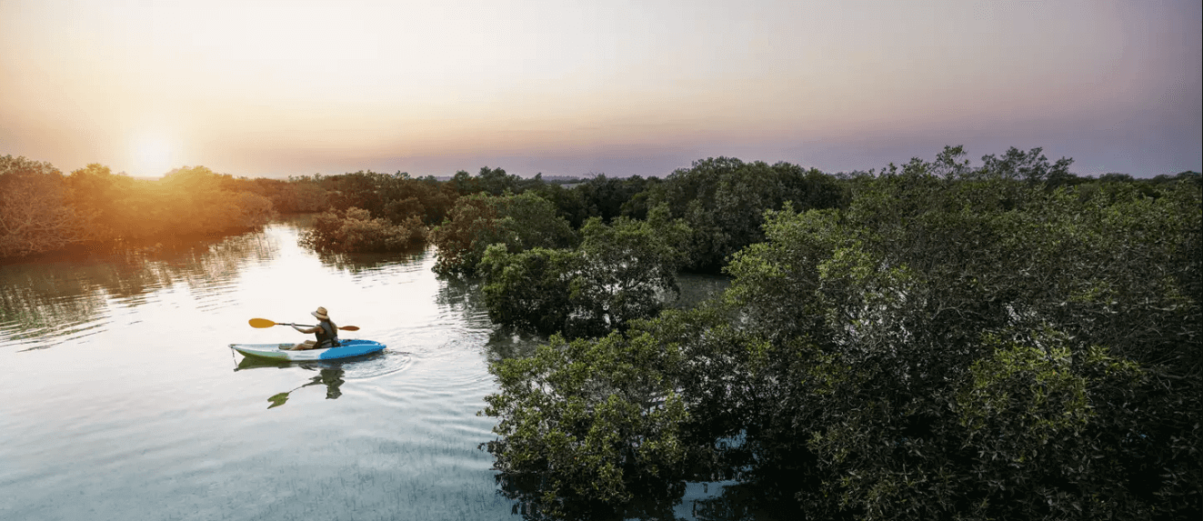 Actividades al aire libre con niños en Abu Dhabi